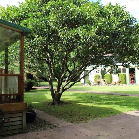 Parsloe'S Cottage Coromandel エクステリア 写真