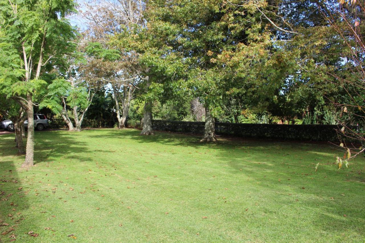 Parsloe'S Cottage Coromandel エクステリア 写真